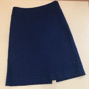 Blue pencil skirt